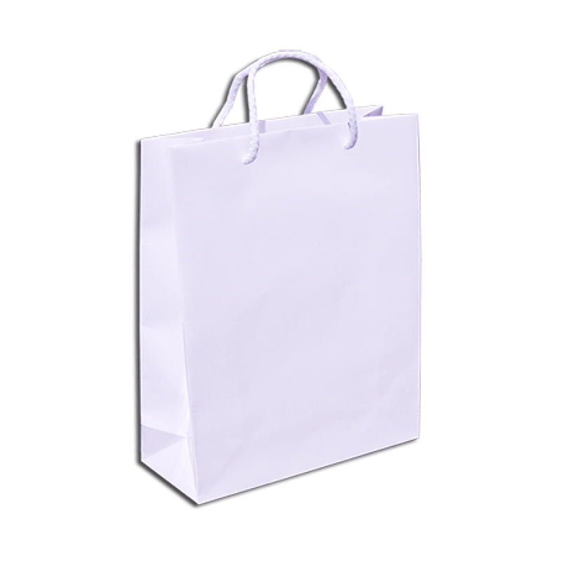 200gsm Coated Paper Bags - Gloss Laminated - White