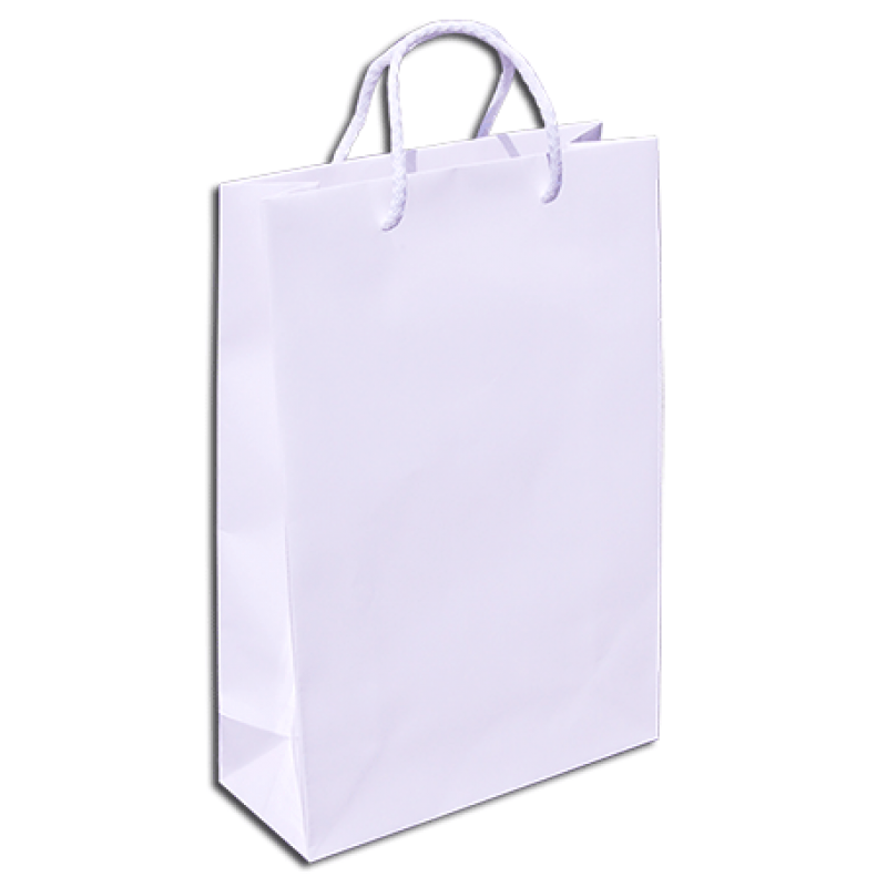 200gsm Coated Paper Bags - Gloss Laminated - White