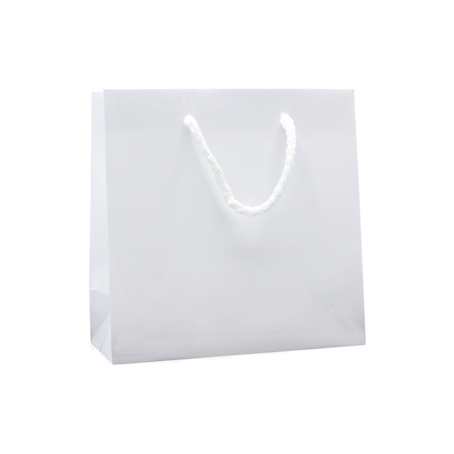 200gsm Coated Paper Bags - Gloss Laminated - White