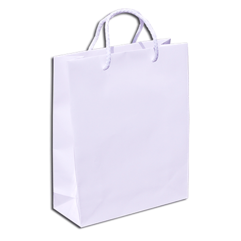 200gsm Coated Paper Bags - Gloss Laminated - White