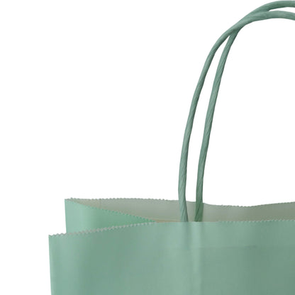 Sacos Asa Torcida Kraft Branco 90g - Verde Pastel