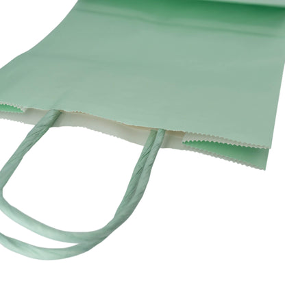 Sacos Asa Torcida Kraft Branco 90g - Verde Pastel