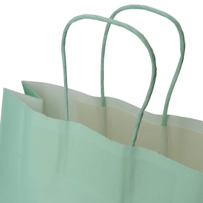 Sacos Asa Torcida Kraft Branco 90g - Verde Pastel
