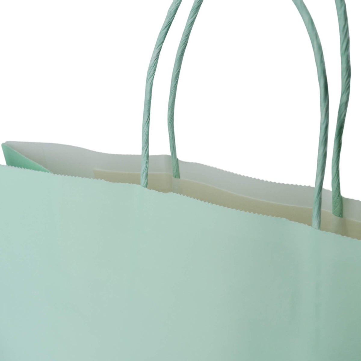 Sacos Asa Torcida Kraft Branco 90g - Verde Pastel