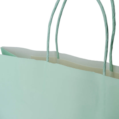 Sacos Asa Torcida Kraft Branco 90g - Verde Pastel