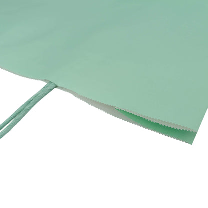 Sacos Asa Torcida Kraft Branco 90g - Verde Pastel