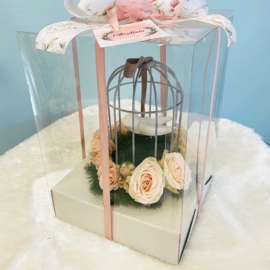 Caixas em PVC com Fundo - Transparente e Branco - "Pele"