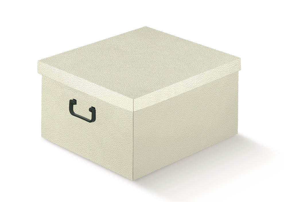 Caja de Almacenamiento - Blanco - "Piel"