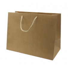 Kraft Paper Bag - Pack 25 unt